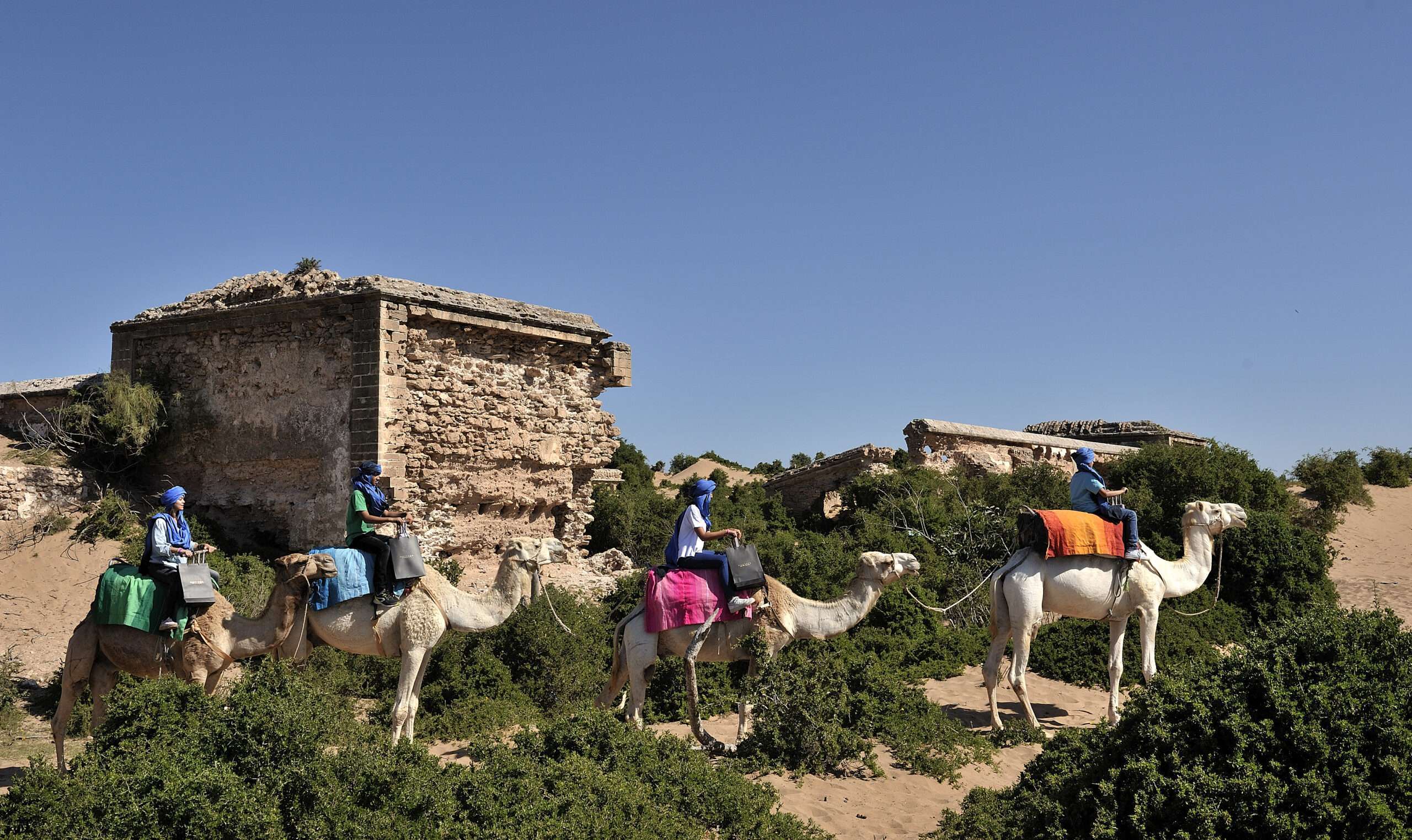DAY TRIP TO ESSAOUIRA