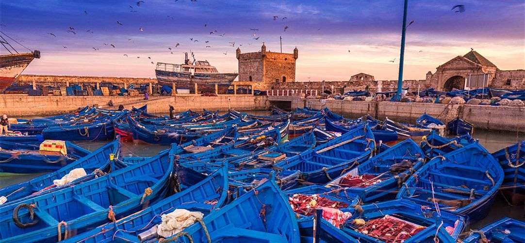 DAY TRIP TO ESSAOUIRA