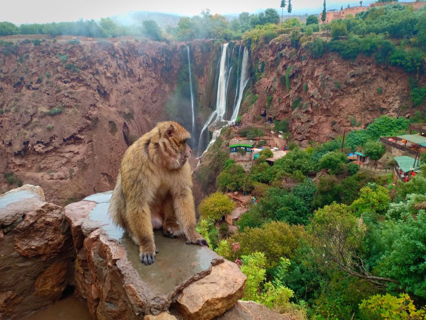DAY TRIP TO OUZOUD WATERFALLS