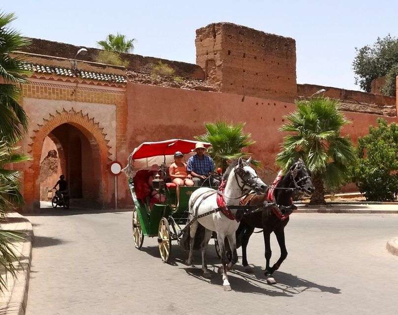 Marrakech Private 2-Hour Horse-Drawn Carriage Tour