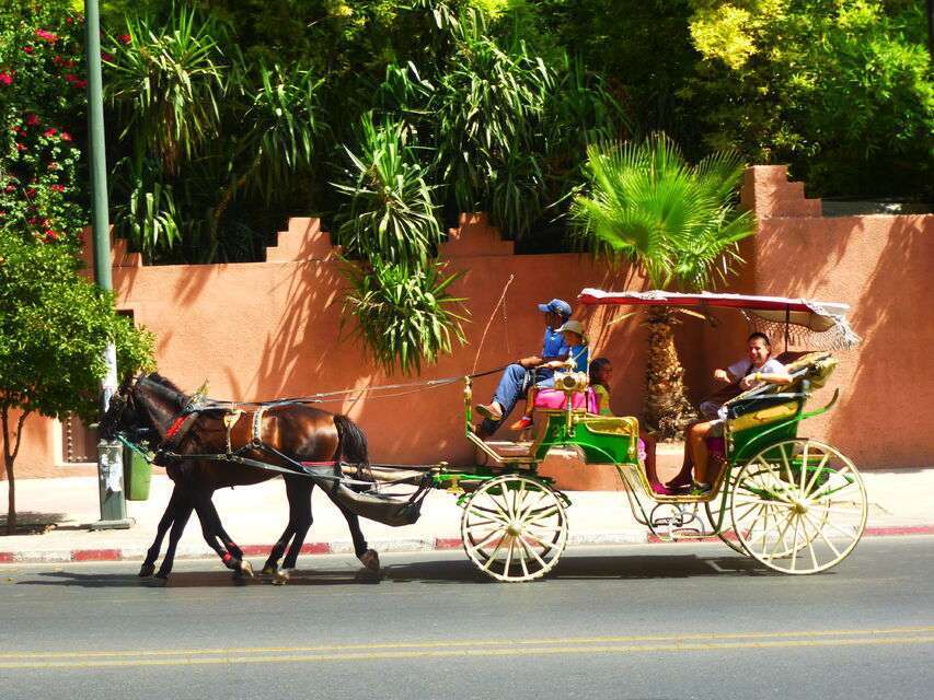 Marrakech Private 2-Hour Horse-Drawn Carriage Tour