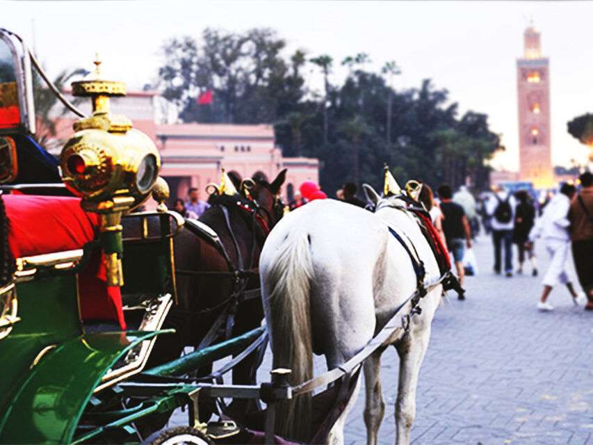 Marrakech Private 2-Hour Horse-Drawn Carriage Tour