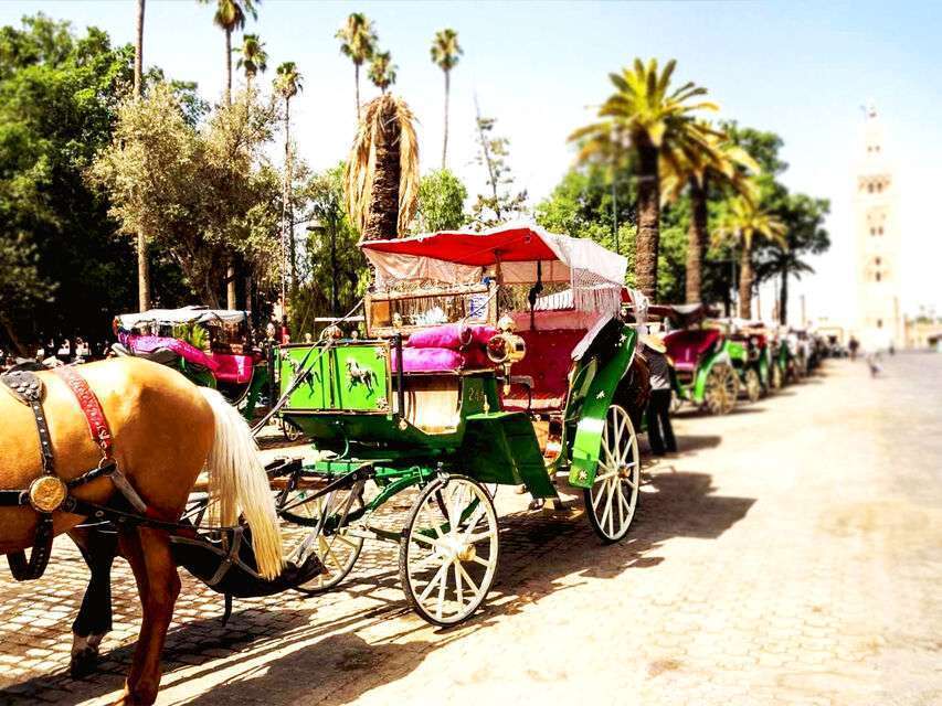 Marrakech Private 2-Hour Horse-Drawn Carriage Tour