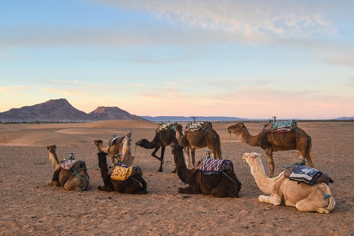 2 Days / 1 Night Excursion to Zagora
