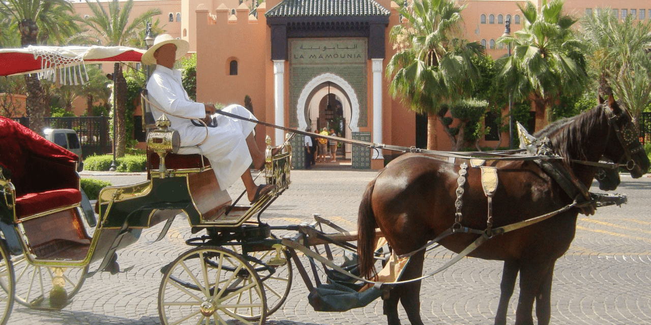 Marrakech Private 2-Hour Horse-Drawn Carriage Tour
