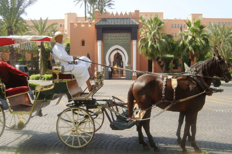 Marrakech Private 2-Hour Horse-Drawn Carriage Tour