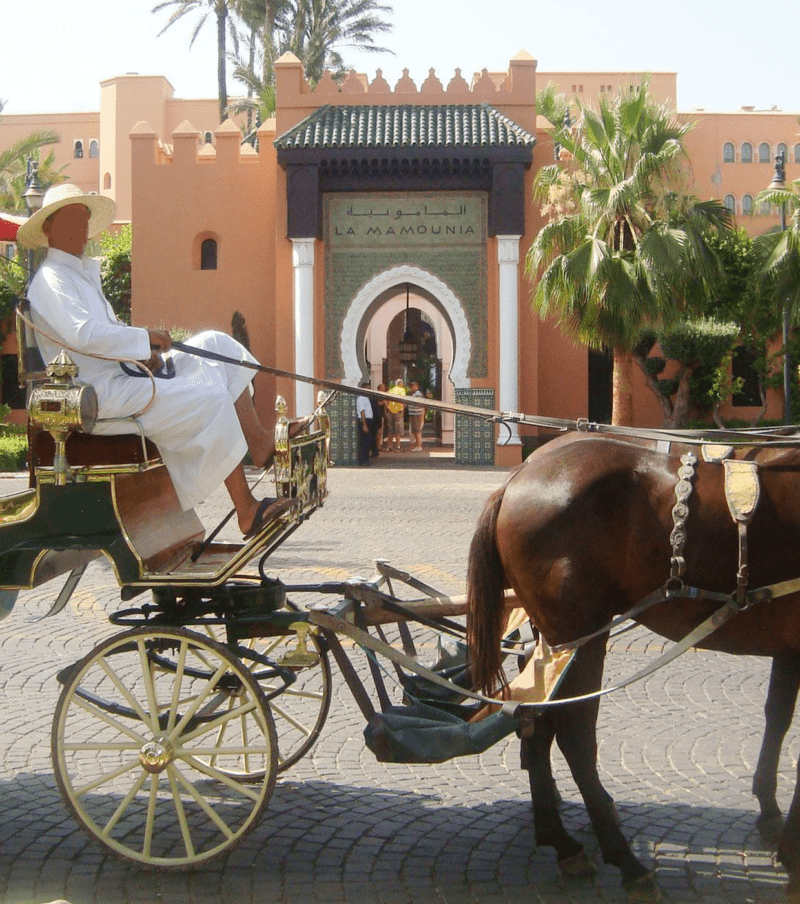 Marrakech Private 2-Hour Horse-Drawn Carriage Tour
