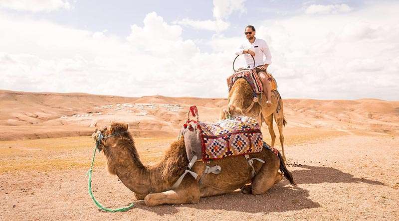 CAMEL RIDE IN AGAFAY DESERT