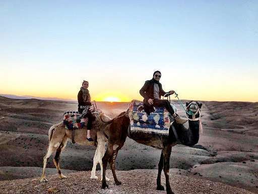 CAMEL RIDE IN AGAFAY DESERT