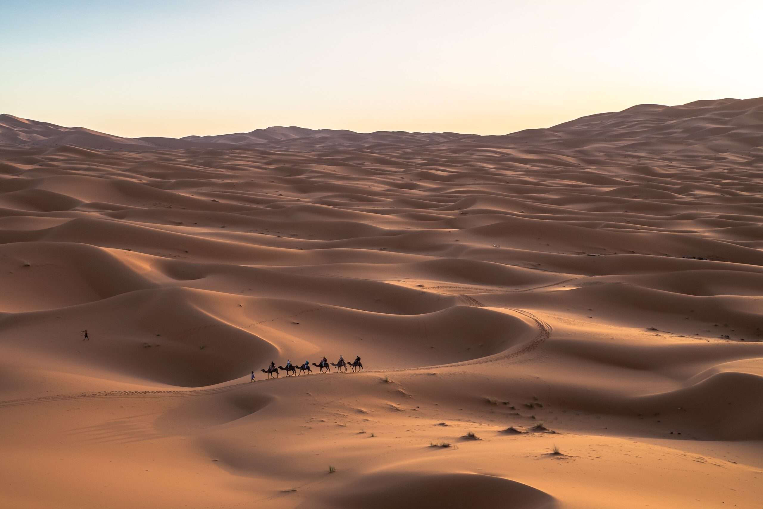 2 Days / 1 Night Excursion to Zagora
