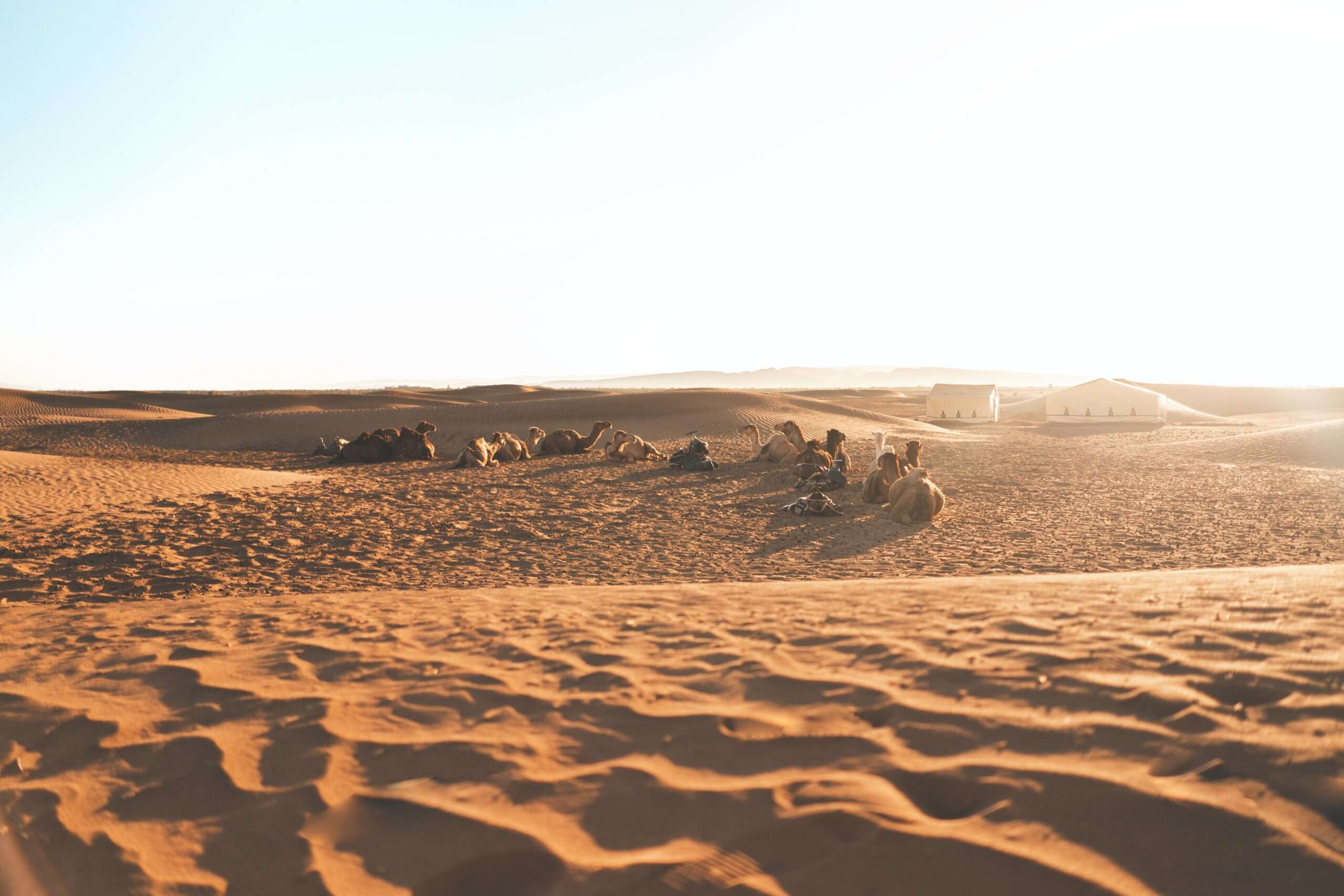 3 Days / 2 Nights Excursion to Merzouga from Marrakech