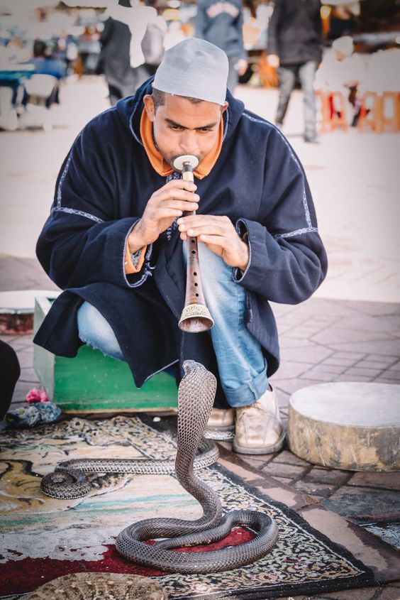 Book your Guide in Marrakech