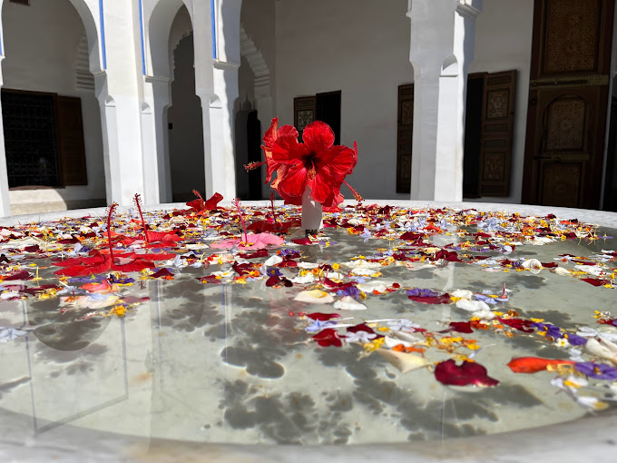 Book your Guide in Marrakech