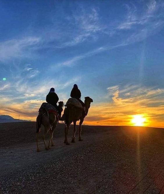 Excursion to Agafay: Quad Biking, Camel Ride, Dinner Show